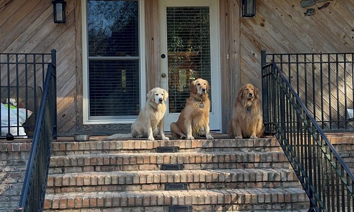 Letohatchee House | "3 Goldens"- A Spacious farmhouse with beautiful 10 acre lake in Hope Hull, Al