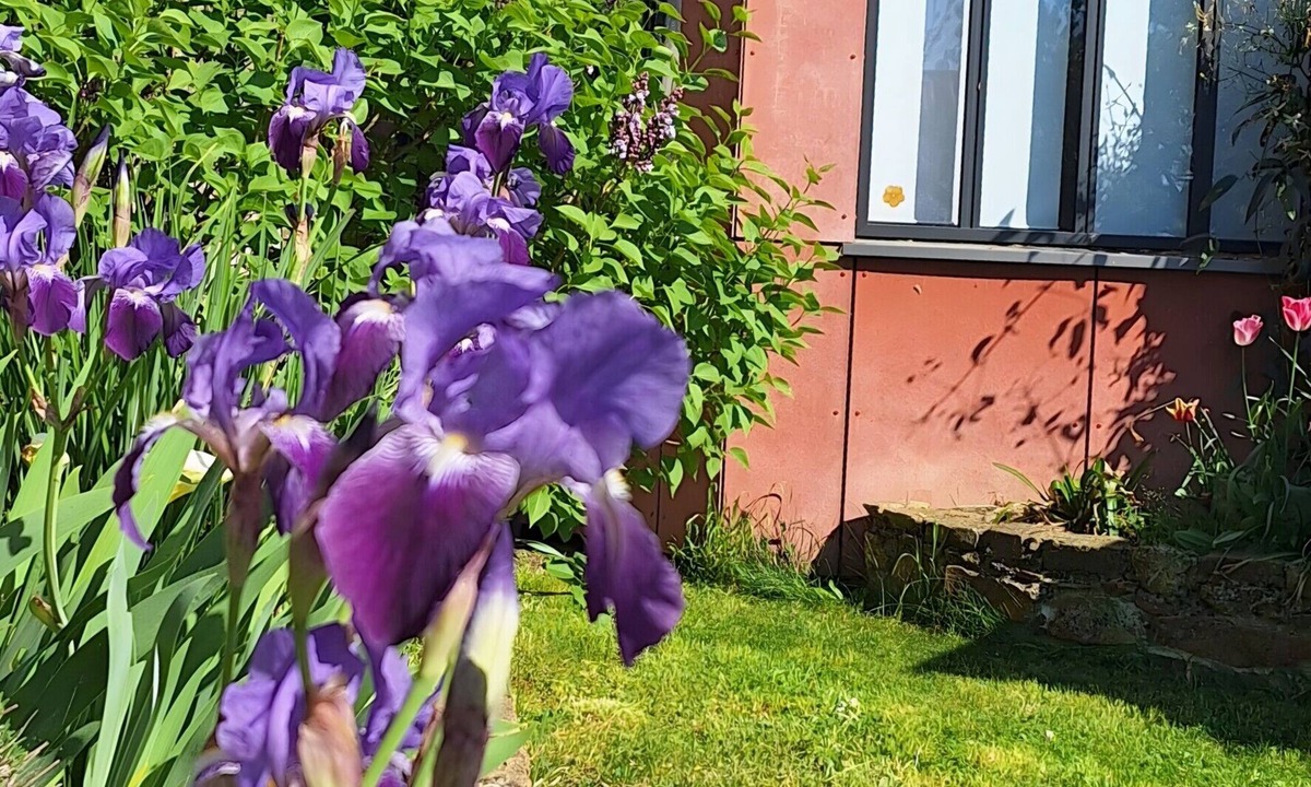 Mouzillon House | Accommodation in the Heart of the Nantes Vineyard - Near Clisson