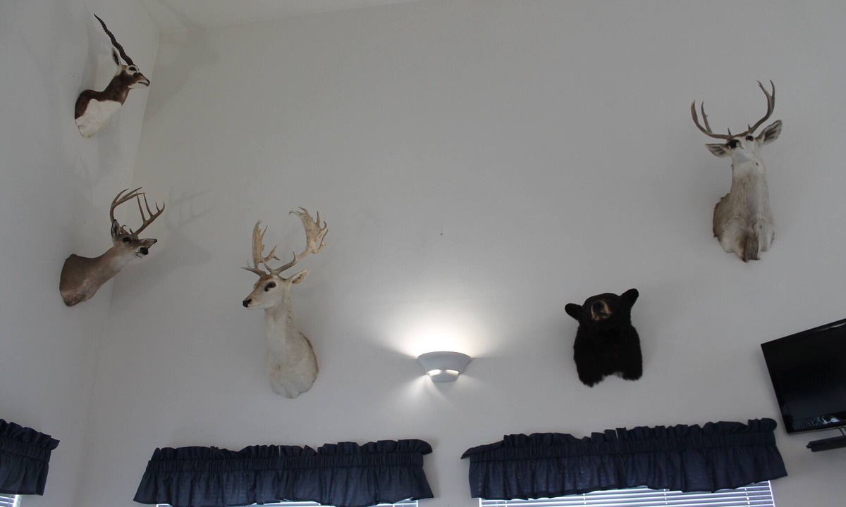 Hart Hotel | American Host Inn