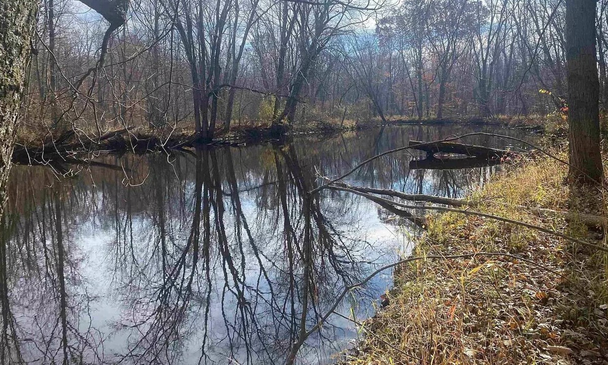Sumner Cabin | Cabin on Pine River-Sleeps 5