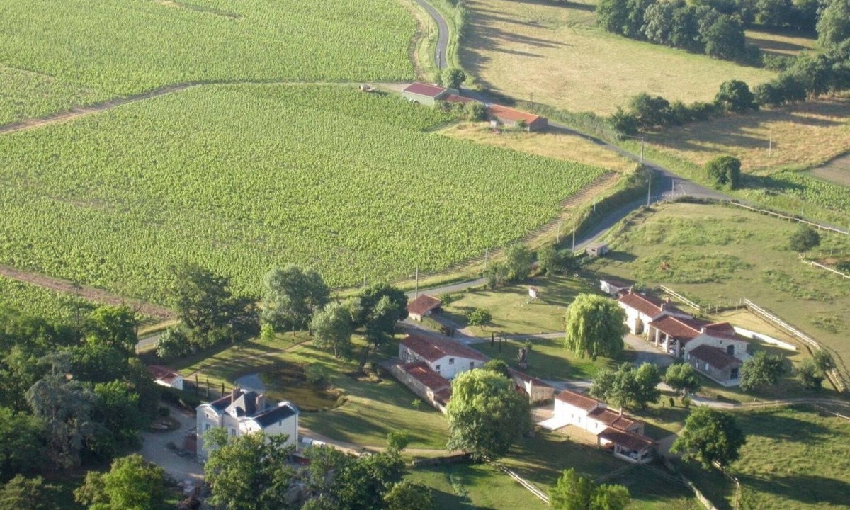 Oree d'Anjou House | Charm and comfort in the middle of the vineyards