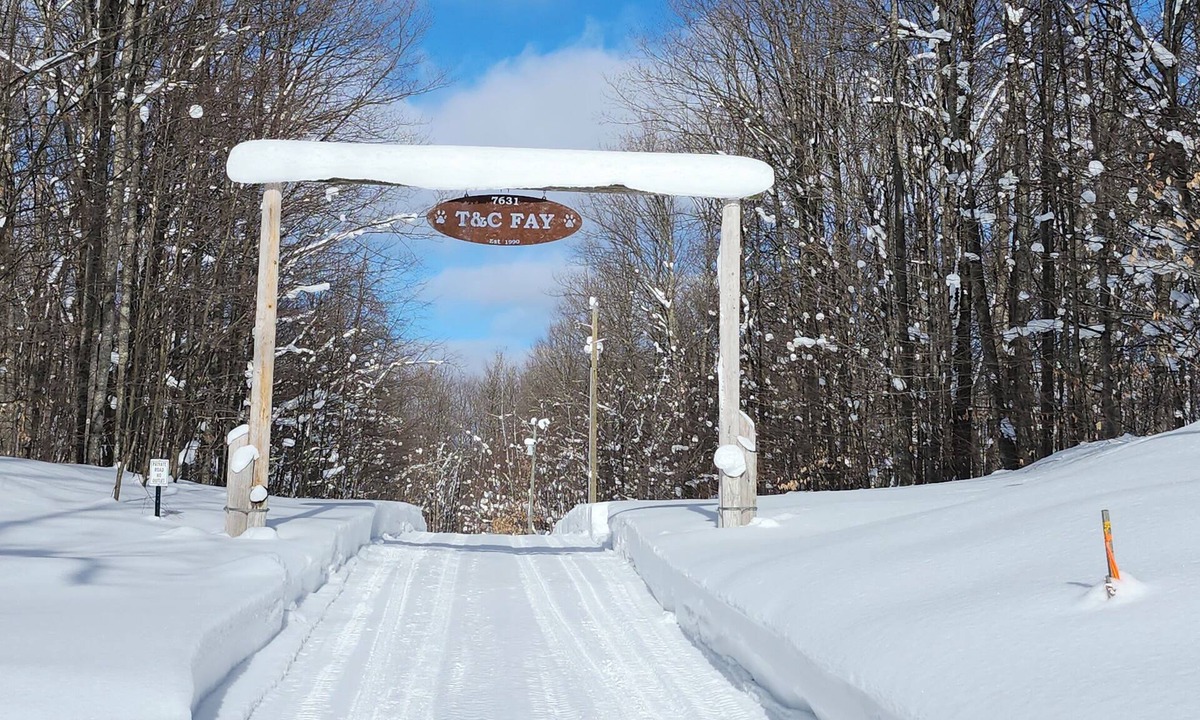 Mancelona Cabin | Chipmunk Cabin - a cozy, intimate cabin in the woods of northwest Michigan