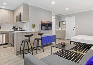 OD2 Sophisticated Studio Apartment w/ Modern Kitchen