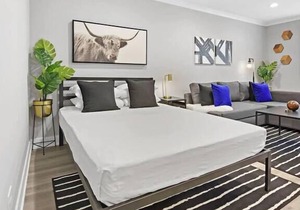 OD2 Sophisticated Studio Apartment w/ Modern Kitchen