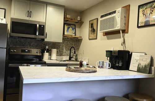 Mancelona Condo | 1 bedroom sleeps 4. On the Schuss golf course. close to Torch Lake and others.