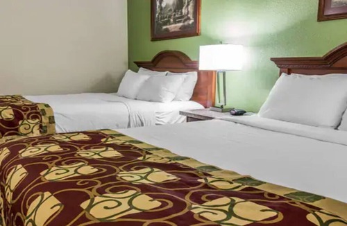 Kalamazoo Hotel | 2 Pet-Friendly Rooms w/2 Queen Beds Perfect for Group Near Local Attractions
