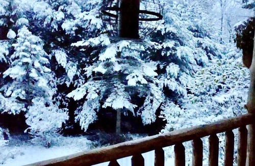 Onekama House | 30 acres, steam sauna, hot tub, 7 beds, sleeps 10. We LOVE dogs!