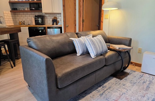 Mancelona Condo | All seasons of fun! 1 bedrm condo sleeps 4 KING bed close to lakes boat parking