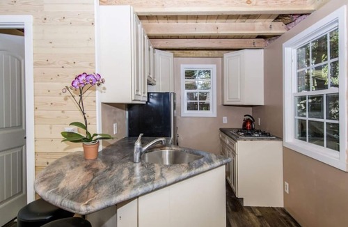 Lake Arrowhead House | Bugsy’s Hideout | FIFA Ready!