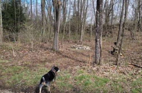 Freedom RV Rental | Celtic Glen Farm Stay - Shadow Of The Henge