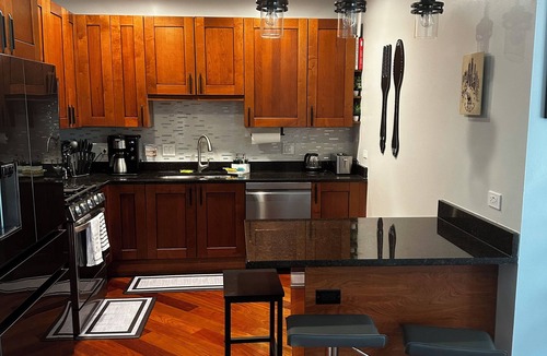 River West Condo | Charming 2 bed 2 bath condo in enchanting Chicago with AC and washer and dryer