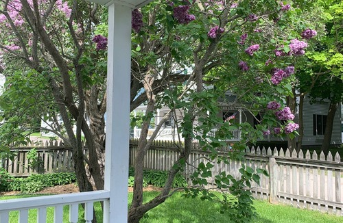 Mackinac Island Cottage | Charming 2-bedroom cottage in lovely Mackinac Island with WiFi