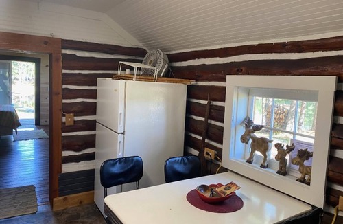 Bitely Cabin | Charming cabin with indoor Pickleball court! Unlimited access during the weekday