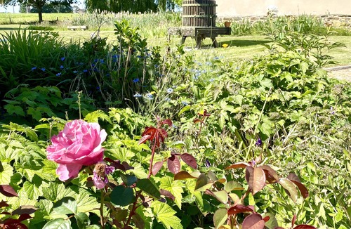 Noyal-sur-Vilaine House | Charming gîte in the heart of the Breton countryside