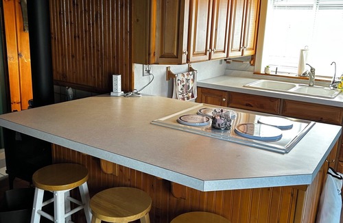 Harrison Cabin | Charming Lakefront log cabin 2bd-1 bath on Bluegill Lake in Harrison, MI