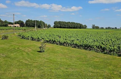 Chateau-Thebaud Apartment | Chez Pascal Sissi -Au Coeur de Vignes, parking free