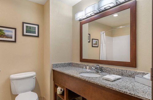 Comstock Park Hotel | Comfort Suites Grand Rapids North