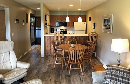 Harbor Springs Condo | Cozy Getaway Near All the FUN! Harbor Springs/Petoskey