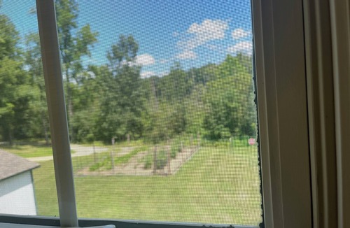 Manitou Beach-Devils Lake Apartment | Cozy, quiet apartment in delightful Manitou Beach. Can accommodate 4 guests.