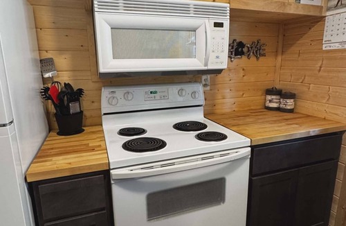 Newberry Cabin | Enjoyable 2 bedroom cabin with loft in charming Newberry perfect for a getaway!