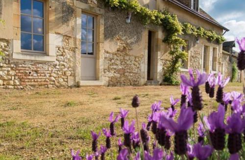 Bazouges-sur-le-Loir House | Ferme restaurée près Zoo de La Flèche, 200m², 8 pers, terrasse, nature et repos - FR-1-410-230