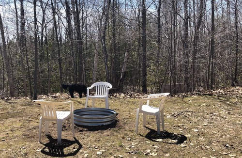 Carp Lake House | Full Home Rental on Paradise Lake. 2 Acres/60 ft of Lakefront & Private Dock