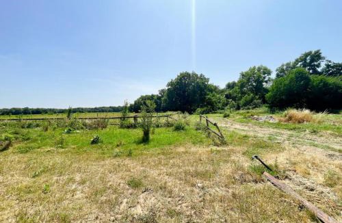 Courcelles-de-Touraine House | Gîte avec jardin privé, proche des châteaux, animaux admis - FR-1-381-627