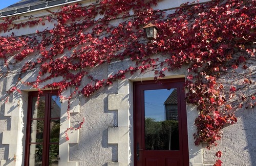 Saint-Melaine-sur-Aubance House | Gite in the heart of the vineyards in Anjou