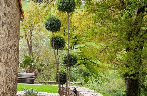 Saint-Michel-Mont-Mercure Bed & Breakfast | Le Mas des Roches proche Puy du Fou