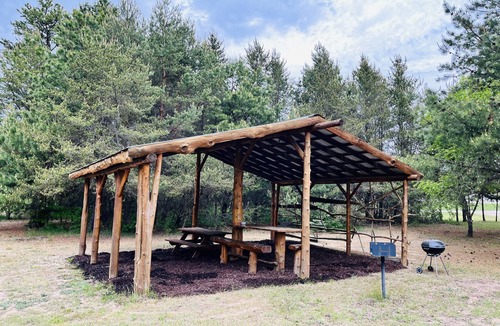 Thompsonville House | Log Cabin. Only minutes from Crystal Mountain!
