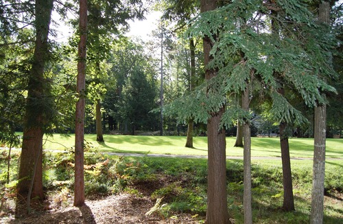 Glen Arbor House | Lovely, Newer Home In Downtown Glen Arbor - 3B/2.5B!