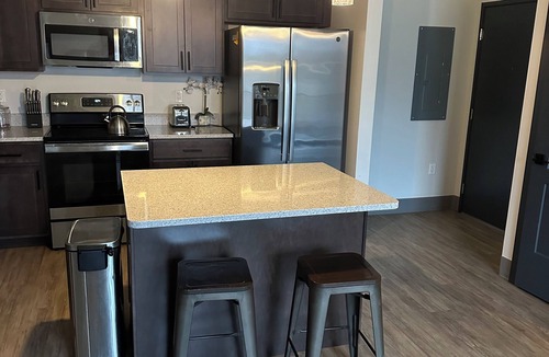 Central Business District Apartment | Luxury King Suite Downtown Kalamazoo