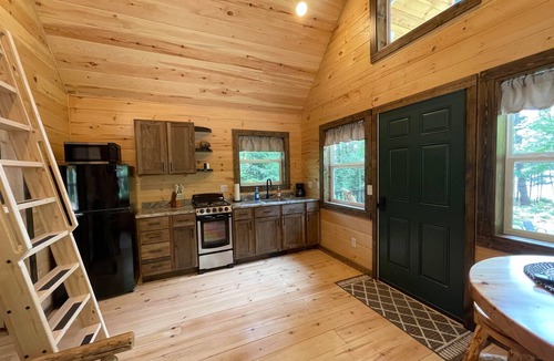 Munising Cabin | New Cozy Tiny Cabin Nestled in the Hiawatha National Forest