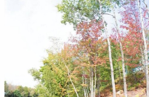 Crystal Falls House | Paint River Rentals South