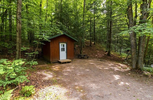 White Lake Cabin | Peaceful Cabin with Comfortable Bunk Beds Nestled in the Trees near White Lake, Wisconsin