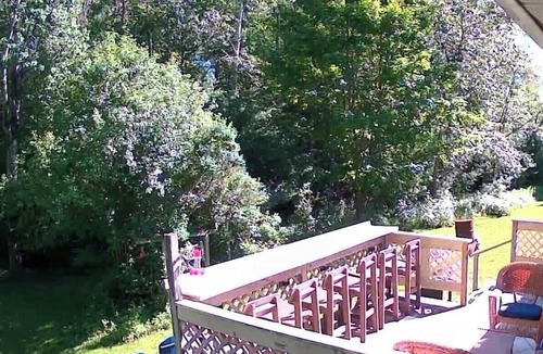 East Jordan House | Private Creekside Retreat on 5 Acres 4BR-3BA Minutes to Boyne Mountain