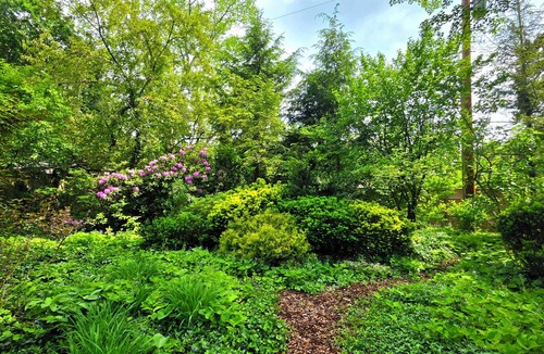 Ann Arbor House | Quiet and Cozy 4 Bed, 3 Bedroom, 2 Full Bathroom Home in Ann Arbor