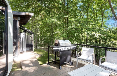 Sears Cabin | Secluded Modern Tiny House with Wood-Fired Hot Tub Near Trails in Sears, Michigan