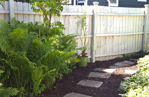 Union Pier Cottage | Shorewinds beachhouse Garden Gate opens directly to beachpath No roads to cross!