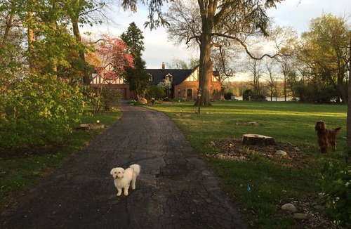 Colton House | Spacious room in Tudor home overlooking the Maumee river near Metro Parks. Wifi