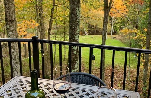 Thompsonville Cabin | Stunning Betsie River Cabin by Crystal Mtn, Game Rm, Loft, Kayaks, AC, 4.5acres!