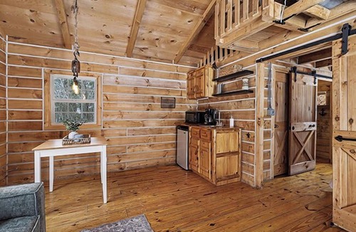 Harbert Cabin | The Driftwood Cabin | Firepit | Serene | Pet-Friendly