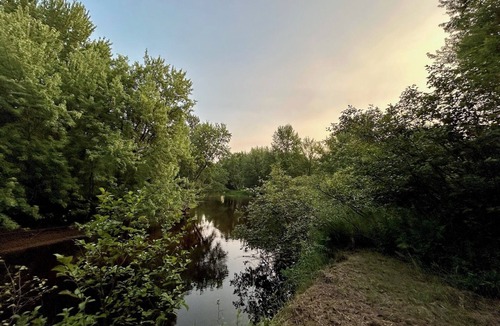 Argonne Cabin | Tranquil cabin with AC in charming Argonne and 170 ft of frontage and 7 acres