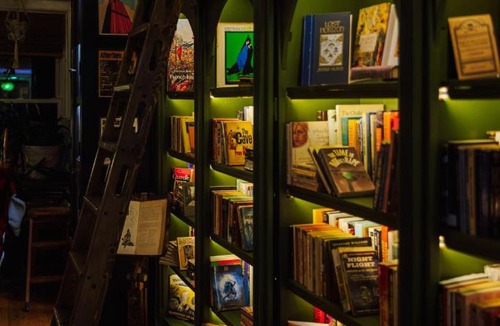 Albany Park Apartment | Tranquil Library 2brm 1bath private eclectic apt at Solar Lodge