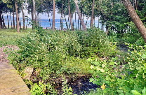 Harbor Springs Condo | Waterfront Condo On Little Traverse Bay. Beaches, Tennis,Near Golf And Ski