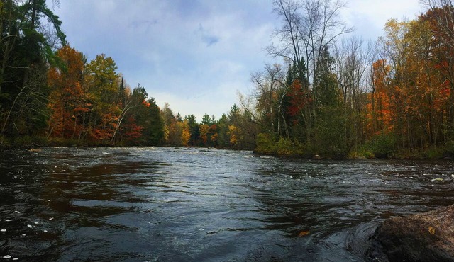 3 bedroom cabin with private access to 2000 feet of river frontage