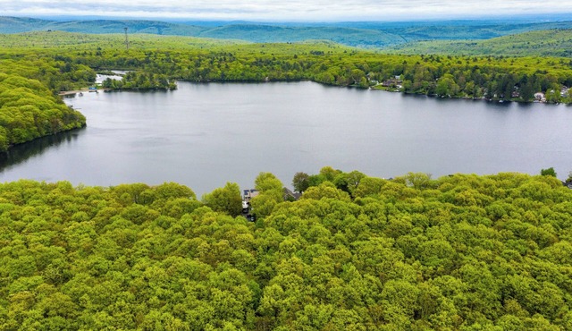 4bd 2bth Lakefront Cottage Firepit & Kayaks