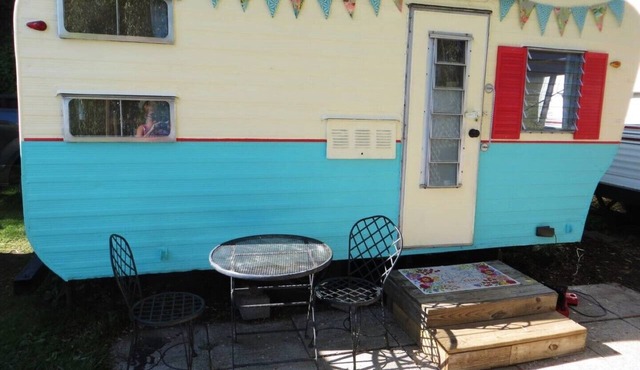 Adorable vintage flamingo camper