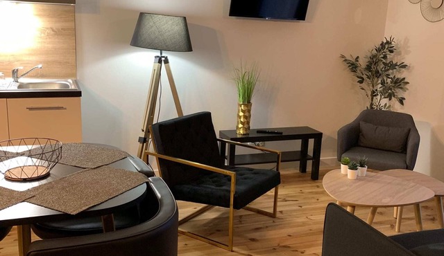 Apartment 4 persons air-conditioned 1 bedroom + sofa bed Puy de Jumes A03 in Chatelguyon