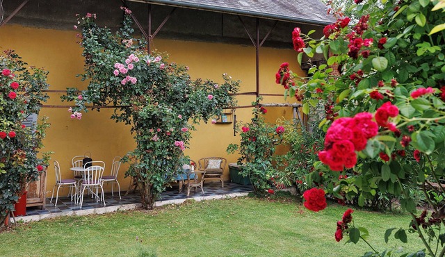 Apartment 'La Tourelle Des Cordeliers' with Private Terrace, Shared Garden and Wi-Fi
